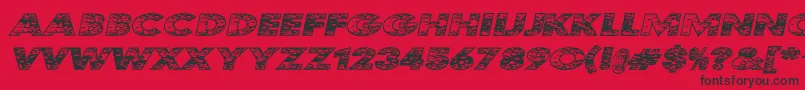 Kustomka Font – Black Fonts on Red Background