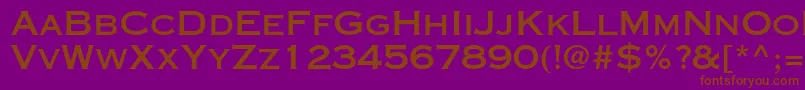 Copperplategothicstd31ab Font – Brown Fonts on Purple Background