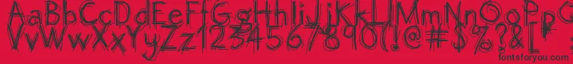 Octemberscript Font – Black Fonts on Red Background