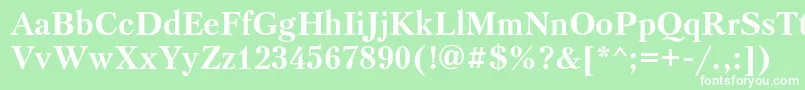 Ptr75C Font – White Fonts on Green Background