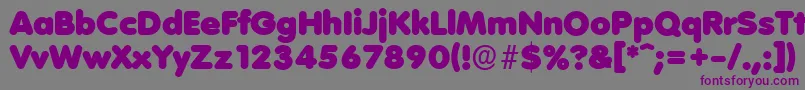 VolkswagenserialBlackRegular Font – Purple Fonts on Gray Background