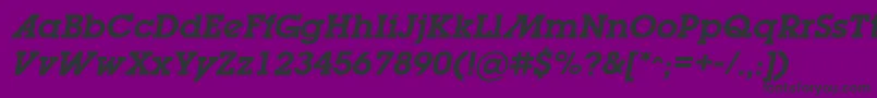 LugabookadSemiboldOblique Font – Black Fonts on Purple Background