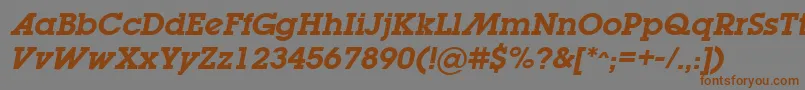 LugabookadSemiboldOblique Font – Brown Fonts on Gray Background