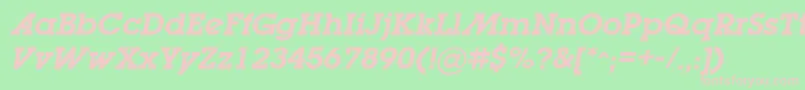 LugabookadSemiboldOblique Font – Pink Fonts on Green Background