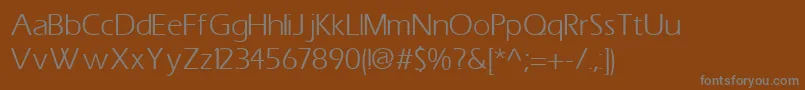Шрифт SpeedoBookSsiBook – серые шрифты на коричневом фоне