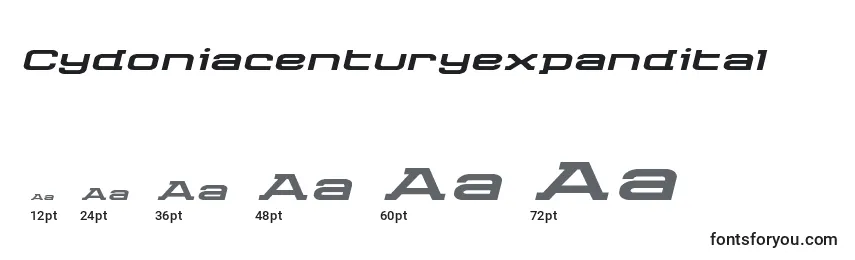 Cydoniacenturyexpandital Font Sizes