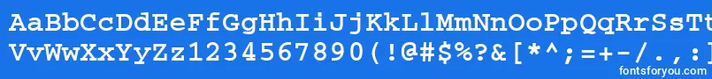 フォントCouriertmBold – 青い背景に白い文字