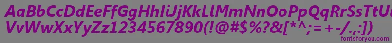 SegoeUiРџРѕР»СѓР¶РёСЂРЅС‹Р№РљСѓСЂСЃРёРІ Font – Purple Fonts on Gray Background