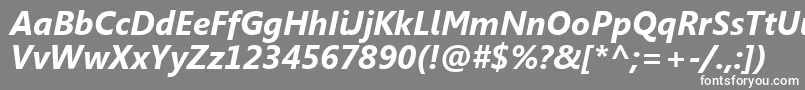 フォントSegoeUiРџРѕР»СѓР¶РёСЂРЅС‹Р№РљСѓСЂСЃРёРІ – 灰色の背景に白い文字