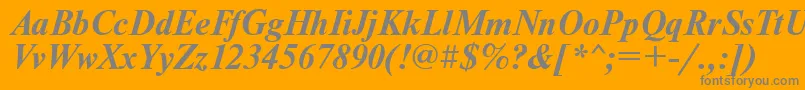 NewtoncBoldItalic Font – Gray Fonts on Orange Background