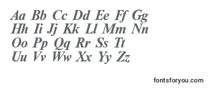 NewtoncBoldItalic Font