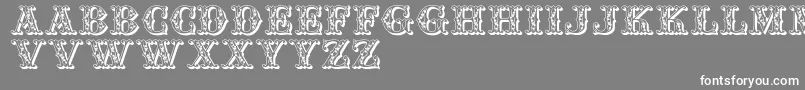 Jfautumnfair Font – White Fonts on Gray Background