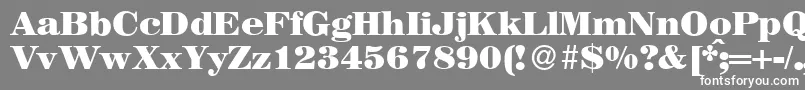 フォントMagazineHeavyRegular – 灰色の背景に白い文字