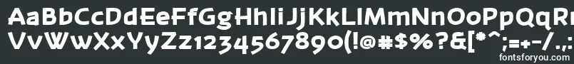 フォントBanksb26 – 黒い背景に白い文字