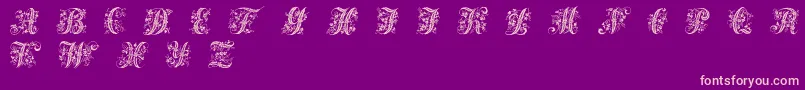 VictorianInitialsOne-Schriftart – Rosa Schriften auf violettem Hintergrund