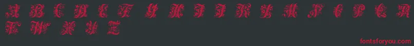 VictorianInitialsOne Font – Red Fonts on Black Background