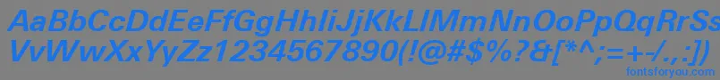 フォントUniversNextProBoldItalic – 灰色の背景に青い文字