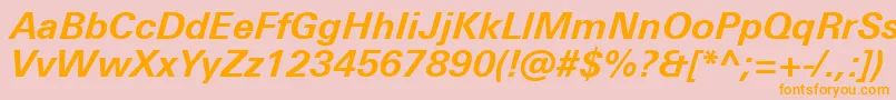 UniversNextProBoldItalic Font – Orange Fonts on Pink Background