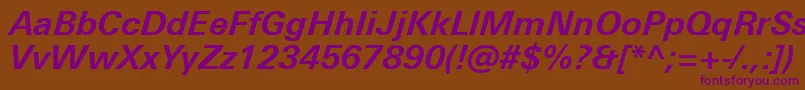 UniversNextProBoldItalic Font – Purple Fonts on Brown Background