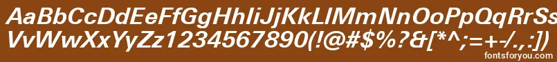 フォントUniversNextProBoldItalic – 茶色の背景に白い文字