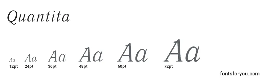 Quantita Font Sizes