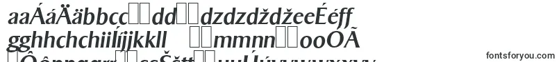 SigvarserialMediumItalic-fontti – slovakian fontit