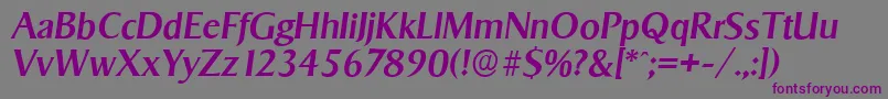 SigvarserialMediumItalic Font – Purple Fonts on Gray Background