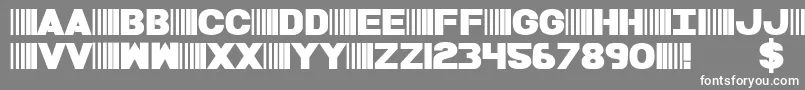 Czcionka BamfBold – białe czcionki na szarym tle