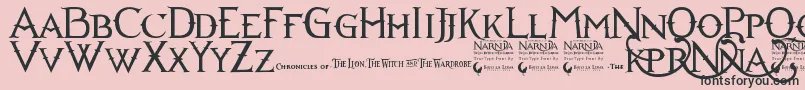 Narniabll Font – Black Fonts on Pink Background