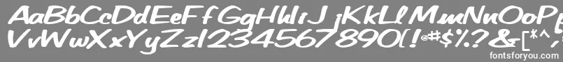 Betatechfont65Bold Font – White Fonts on Gray Background