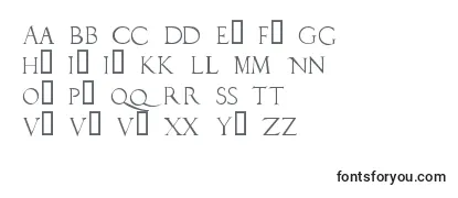 Обзор шрифта Duerlc