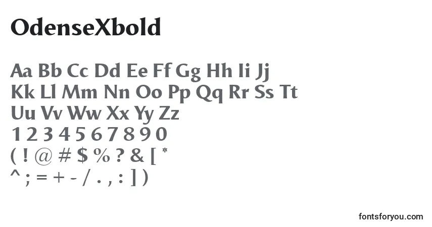 Шрифт OdenseXbold – алфавит, цифры, специальные символы