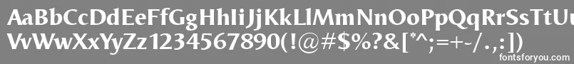 フォントOdenseXbold – 灰色の背景に白い文字