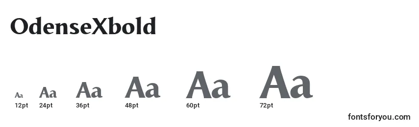 OdenseXbold Font Sizes