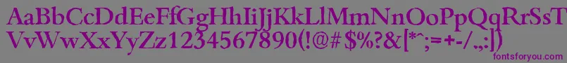 BambergantiqueMediumRegular-fontti – violetit fontit harmaalla taustalla