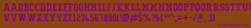 TypoCollegeOutlineDemo Font – Purple Fonts on Brown Background