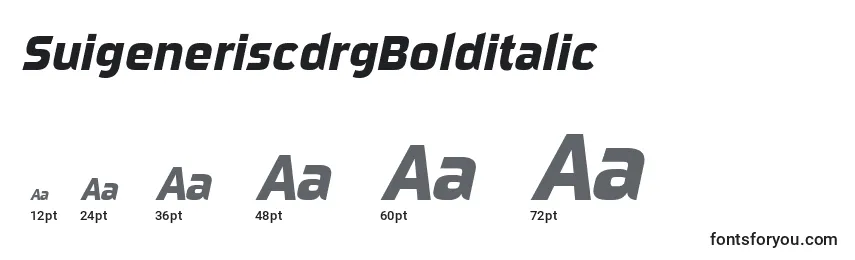 SuigeneriscdrgBolditalic Font Sizes