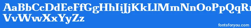 フォントNovelloProBold – 青い背景に白い文字