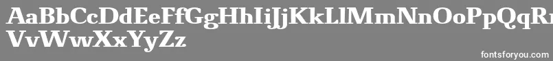 フォントNovelloProBold – 灰色の背景に白い文字