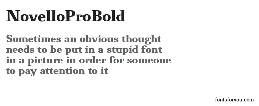 Обзор шрифта NovelloProBold