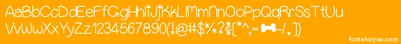 Puppybellies-Schriftart – Weiße Schriften auf orangefarbenem Hintergrund