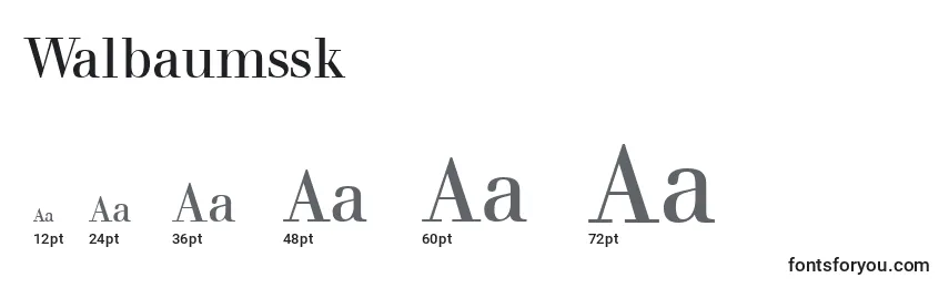 Walbaumssk Font Sizes