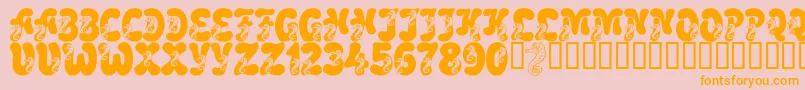 LmsCoralColt-Schriftart – Orangefarbene Schriften auf rosa Hintergrund