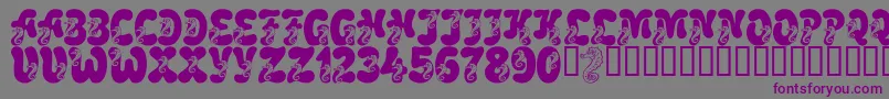 LmsCoralColt Font – Purple Fonts on Gray Background