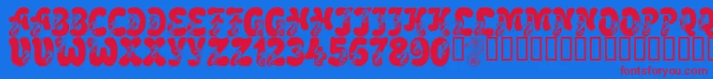 LmsCoralColt Font – Red Fonts on Blue Background