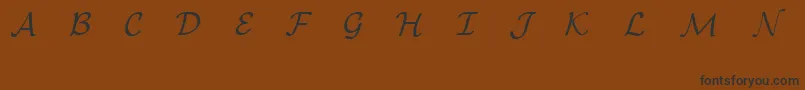 EuclidMathOne Font – Black Fonts on Brown Background