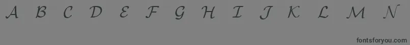 Шрифт EuclidMathOne – чёрные шрифты на сером фоне