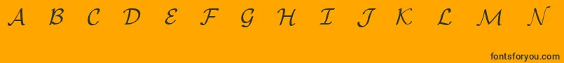 EuclidMathOne Font – Black Fonts on Orange Background