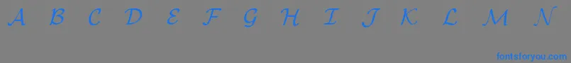 EuclidMathOne Font – Blue Fonts on Gray Background