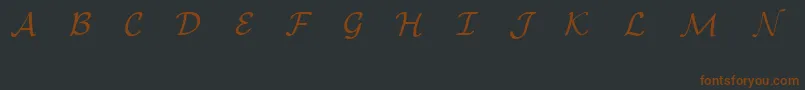EuclidMathOne Font – Brown Fonts on Black Background